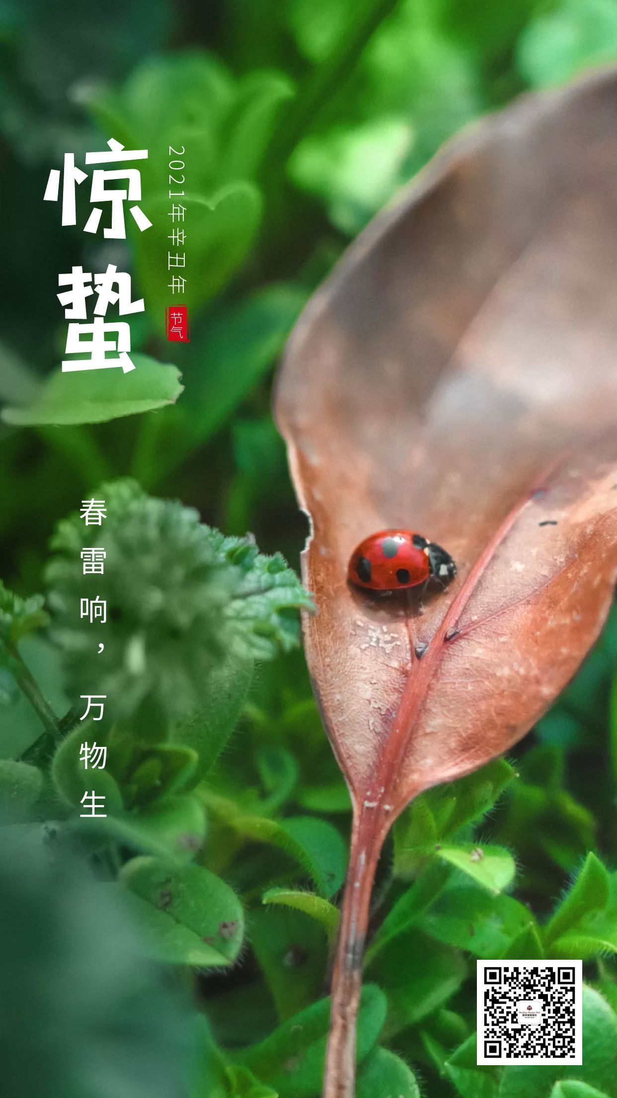 图怪兽_9d03b836260307f6e0934f521d9bb36e_54384.jpg