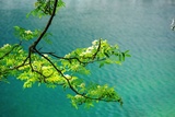 文章附圖