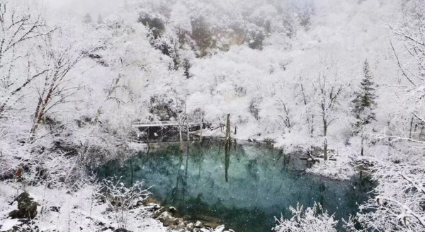 文章附图